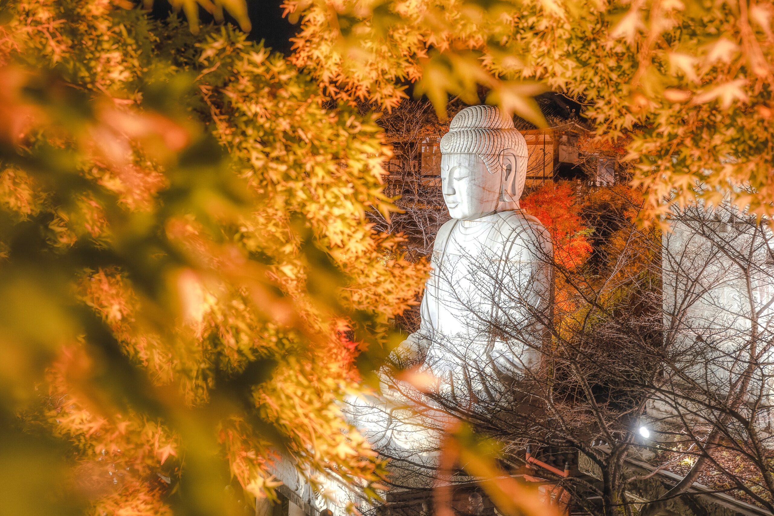 壷阪寺紅葉