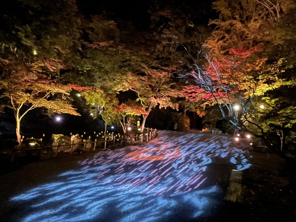 室生寺ライトアップ